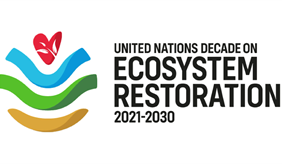 Logo der UN Decade on Ecosystem Restoration 2021-2030