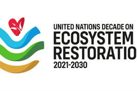 Logo of UN Decade on Ecosystem Restoration 2021-2030