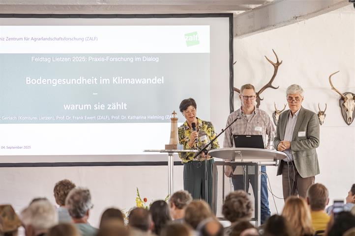 Paneldiskussion | Quelle: © Falk Wieland.