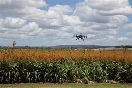Drone überfliegt ein Feld