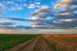 Fachgespräch zum Thema „Climate-Smart Agricultural Landscapes – Nutzung von Agrarlandschaften im Klimawandel“