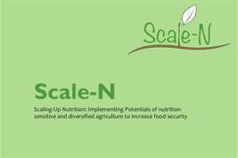 Logo des Projektes Scale-N