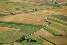 agriculture | Quelle: © www.pixabay.com