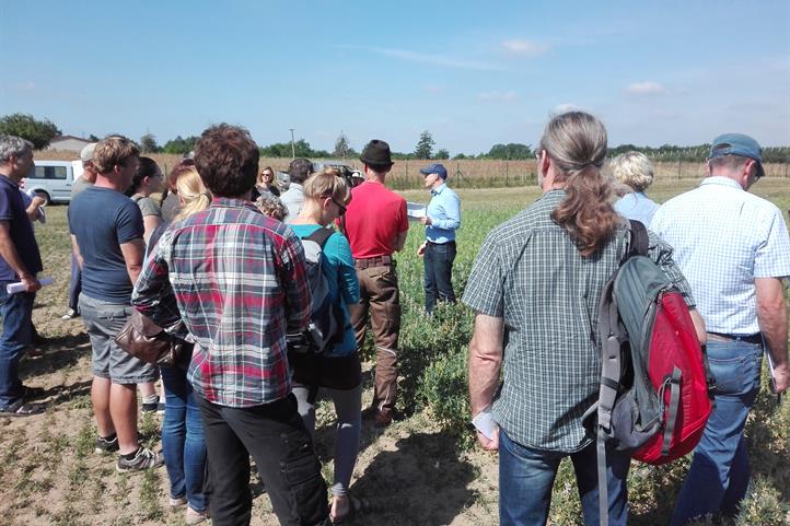 Field Day "Utilizing Protein crops successfully". The image is released for editorial reporting purposes provided the source of the image is given: © Clara Mersch / ZALF.