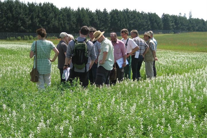 Exkursionsteilnehmende beim Erfahrungsaustausch: Lupinenanbauversuch auf der ZALF-Versuchsfläche in Müncheberg | Quelle: © Monika Meiser, ZALF.