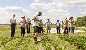 Menschen arbeiten auf einem Feld des Berliner Unternehmens Tiny Farms.