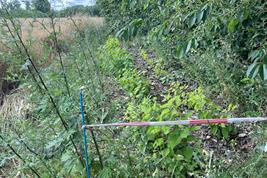 Sichtbare Ergebnisse bei der Begehung beim AGROMIX-Workshop