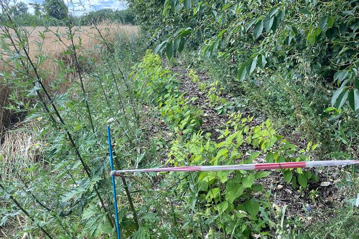 Visible results during the walk-through at the AGROMIX workshop | Source: © Carmen Steinmetz / ZALF.