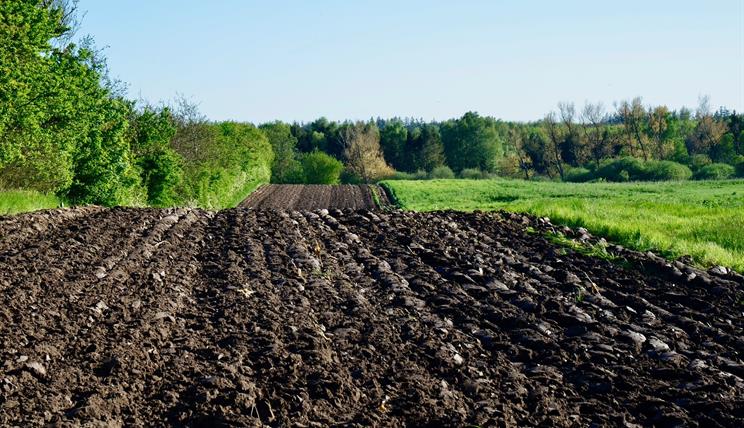 Bodenfurchen auf einem Feld