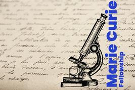 Grafic2