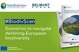 #BioDivScen: Scenarios to navigate declining European biodiversity