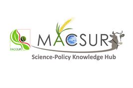 Macsur Logo