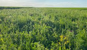 /de/aktuelles/BilderAktuellMeldungen/Meldungen/PB3/Meldung_Kernecker_Studie_AUKM_Sachsen.jpg?RenditionID=2