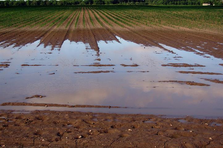 Erosion und Staunässe auf einem landwirtschaftlichen Feld | Quelle: © geralt/Pixabay.