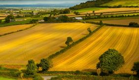 Landschaft