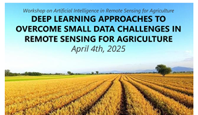 Deep learning approches to overcome small data challenges in remote sensing for agriculture