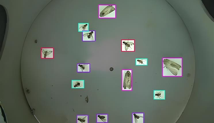 https://homepageint.zalf.de/de/aktuelles/BilderAktuellMeldungen/Meldungen/PB4/smart_trap_inside.jpg?RenditionID=4