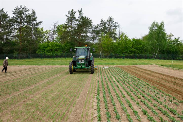 Wie funktioniert Carbon Farming, trägt es zur Klimaneutralität in der Landwirtschaft bei, und welche Rolle spielen dabei Humuszertifikate? Über diese und andere Fragen gibt Dr. Carsten Paul in einem Opinion Paper Auskunft. Quelle: © Katharina Richter / ZALF.