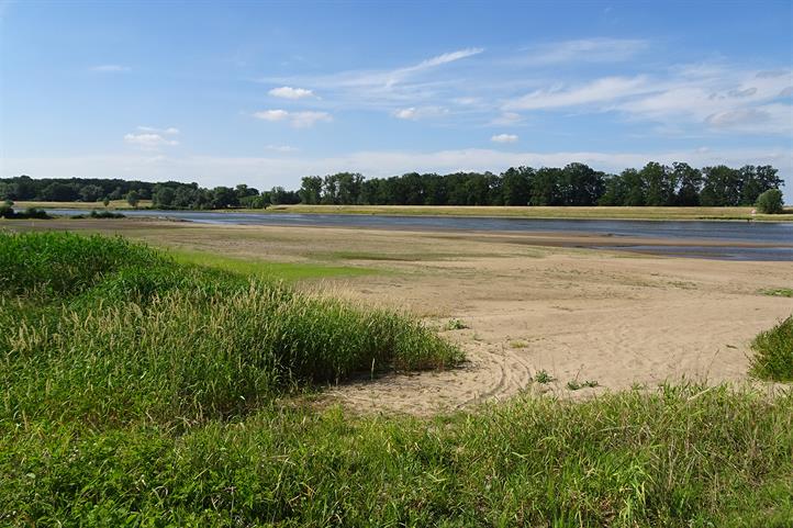 River Elbe (Germany) in June 2018 | Source: © Matthias Koschorreck.