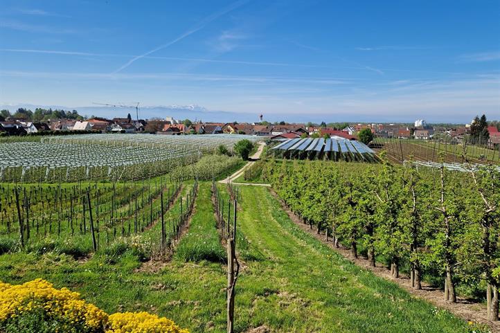 Der Ausbau von erneuerbaren Energien (im Bild eine innovative Agri-PV-Anlage in einer Kommune in Süddeutschland) in den Kommunen ist zwingend nötig, aber allein nicht ausreichend. Für das Erreichen der Klimaziele sind auch Suffizienzmaßnahmen unerlässlich, um Energiebedarfe zu senken. Dieses Bild kann für die Presseberichterstattung zu dieser Mitteilung genutzt werden unter Angabe des Quellenhinweises: © Klaus Müller / ZALF | Bildquelle in Farbe und Druckqualität: http://www.zalf.de/de/aktuelles