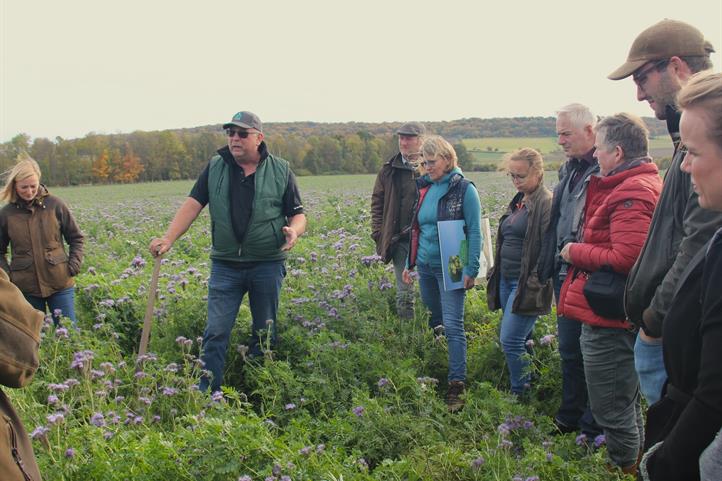 Landwirtinnen, Landwirte und Forschende planen gemeinsam Maßnahmen für eine insektenfreundlichere Landwirtschaft. (Quelle: © Wolfrum / ZALF)