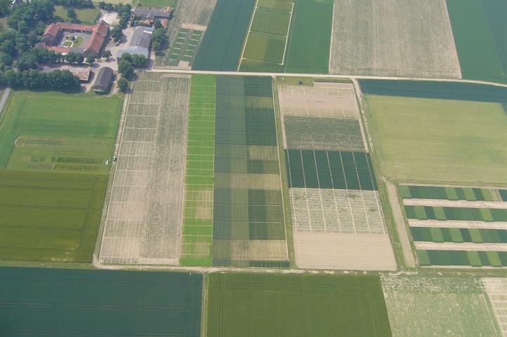 In Zeiten des Klimawandels wird die Zuverlässigkeit bei der Bestimmung von Ernte- oder Futtererträgen für Landwirtschaftsbetriebe immer wichtiger. Für die Berechnungen sind Daten aus Dauerfeldversuchen, wie dem Dauerdüngungsversuch Dikopshof der Universität Bonn, nötig. | Quelle: © Hubert Hüging / Uni Bonn.