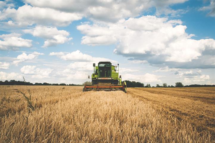 Wie kann die deutsche Landwirtschaft dem Klimawandel begegnen? | Quelle: © Pexels/Pixabay.