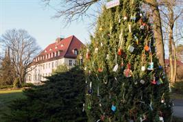 Mückenatlasweihnachtsbaum