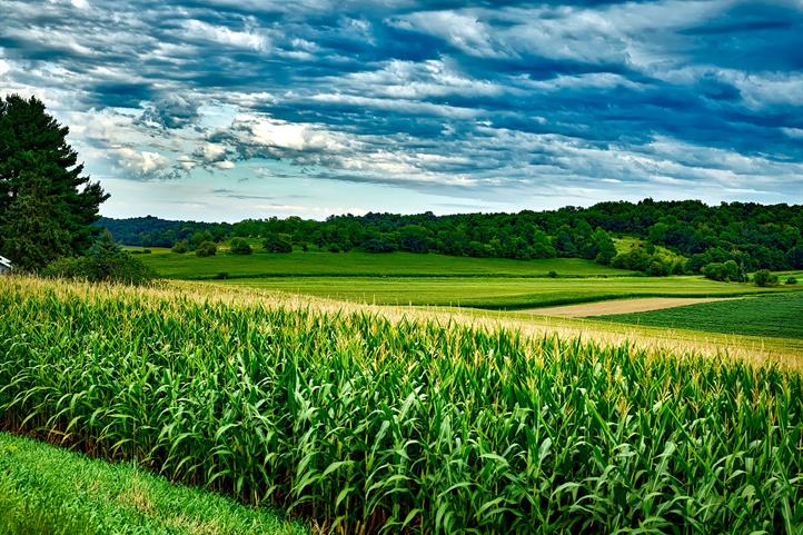 Wie werden die Agrarlandschaften der Zukunft aussehen? | Quelle: © CC0 – Creative Commons.