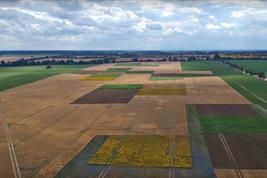 Small field sizes, varied crops and flowering strips should ensure more biodiversity and stable yields