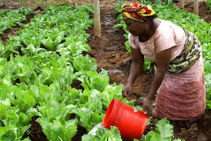 Field work in Tanzania | Source: © CC0 – Creative Commons.