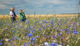 At the end of the four-year project period, the Contracts 2.0 research project publishes the manual "Co-Creating Contracts" with recommendations for the design of agri-environmental programs.