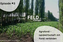 Cover of the new podcast episode on agroforestry