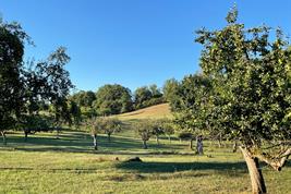 Streuobstwiese in Märkisch-Oderland