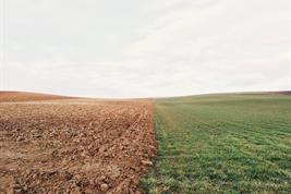 Landschaft mit gepflügtem Acker und Wiese