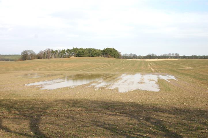 Bildunterschrift: Winterweizenfeld nach Starkregen: Erosion und Ertragsausfall wegen Vernässung ‒ im Projekt EMRA werden Meldungen über durch Wetterextreme verursachte Schäden in der Landwirtschaft gesammelt. Das Bild ist für die redaktionelle Berichterstattung freigegeben unter Angabe der Bildquelle: © Roger Funk / ZALF.