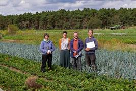 Menschen auf einem Feld mit verschiedenen Gemüsekulturen