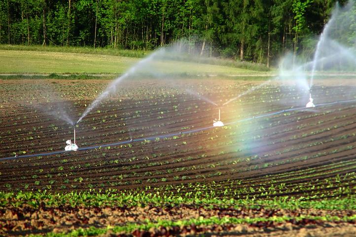 Brauchwasser zur Bewässerung von Feldern benötigt einen Mindeststandard an Qualität. Foto: Kurt Michel | Quelle: © Kurt Michel pixelio.de.