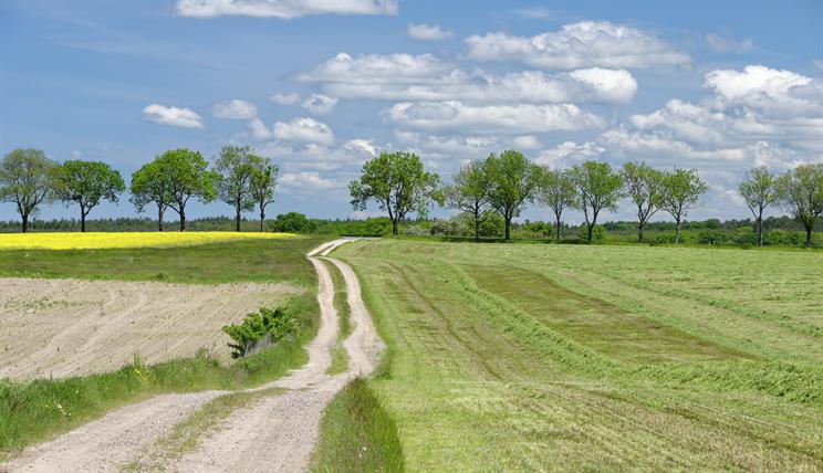 Agrarlandschaft