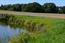 Extensively used buffer strips at the edges of small water bodies are important habitats for amphibians in the summer and winter. Saltatoria, butterflies and other insects also benefit from this. © ZALF | Frank Gottwald