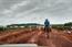 The expansion of soy cultivation in Mato Grosso is pushing many small farmers and landless people into new, undeveloped forest regions to the north.  The areas they clear are later bought up by the soy farming companies and the cycle starts all over again. © Pablo Reveles