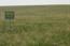 Das Untersuchungsgebiet des DFG-geförderten Projektes MAGIM (Matter fluxes of Grasslands in Inner Mongolia as influenced by stocking rate) hatte eine Größe von insgesamt 500 Quadratkilometer und liegt in 1200 Meter Höhe in der »Inneren Mongolei«.  © Carsten Hoffmann | ZALF