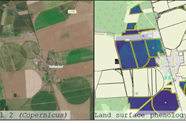 satellite-data (sentinel2 / copernicus; land surface phenology)