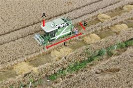 silvoarable alley cropping (agroforesty)