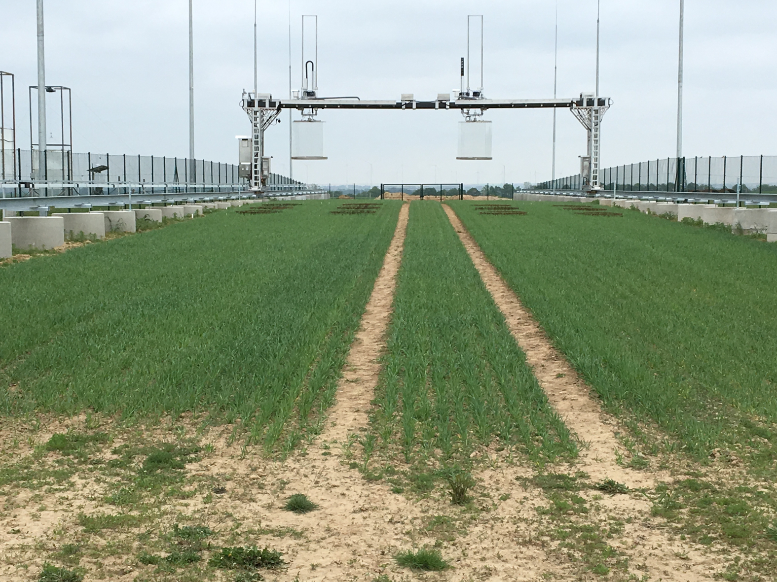 Gantry crane system for GHG flux measurements at the CarboZALF experimental site. Copyright: M. Sommer, ZALF