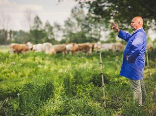 Image of the WG Co-design of animal based mixed farming systems