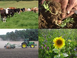 Bild der AG Agrarökonomie und Ökosystemleistungen