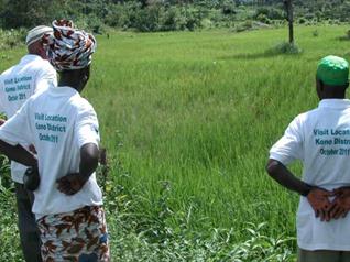 Bild der AG Integrierte Pflanzenbau-Systemanalyse