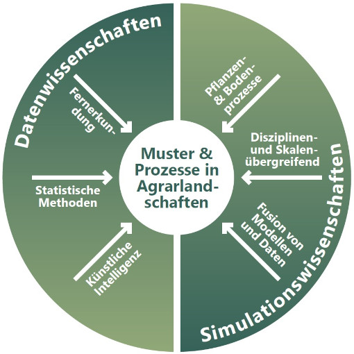 Themen im Programmbereich 4