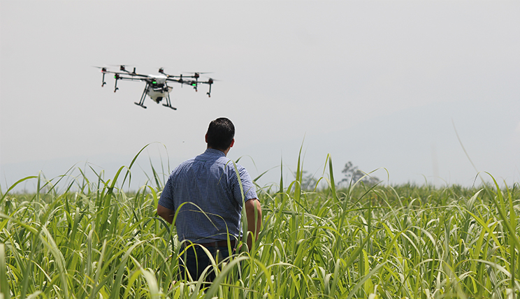 Landwirtschaft und Digitalisierung